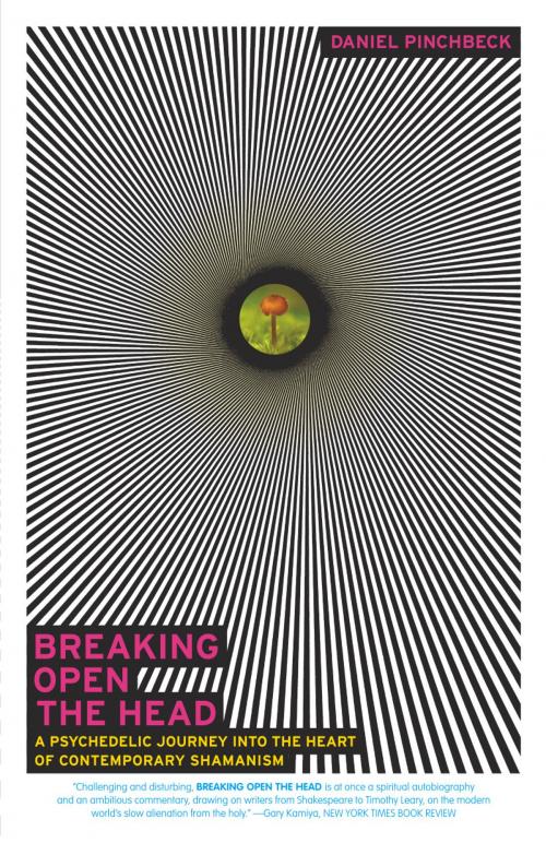 Cover of the book Breaking Open the Head by Daniel Pinchbeck, Crown/Archetype