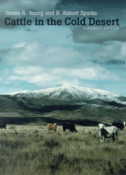 Cover of the book Cattle In The Cold Desert, Expanded Edition by James A. Young, B. Abbott Sparks, University of Nevada Press