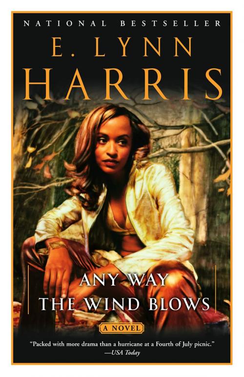 Cover of the book Any Way the Wind Blows by E. Lynn Harris, Knopf Doubleday Publishing Group