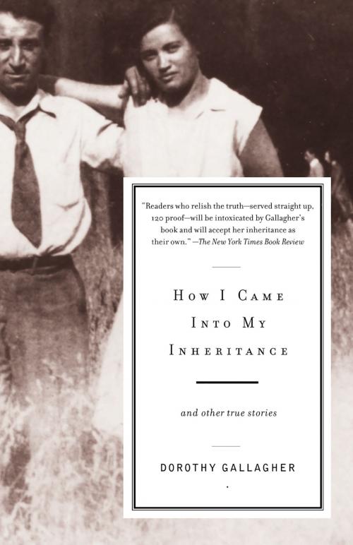 Cover of the book How I Came Into My Inheritance by Dorothy Gallagher, Knopf Doubleday Publishing Group
