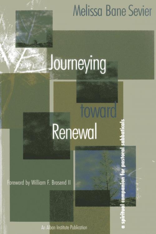 Cover of the book Journeying Toward Renewal by Melissa Bane Sevier, Rowman & Littlefield Publishers