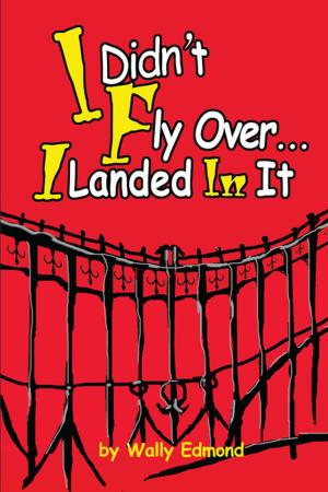 Cover of the book I Didn't Fly Over... I Landed in It by James T. Palmer