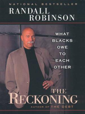 Cover of the book The Reckoning by Meljean Brook