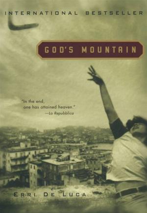Cover of the book God's Mountain by W.E.B. Griffin
