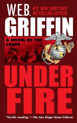 Cover of the book Under Fire by Lucinda Holdforth