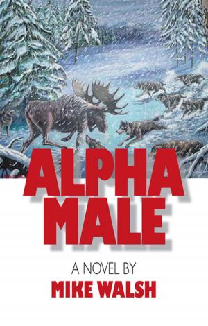 Cover of the book Alpha Male by John Hawthorne