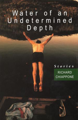 Book cover of Water of an Undetermined Depth