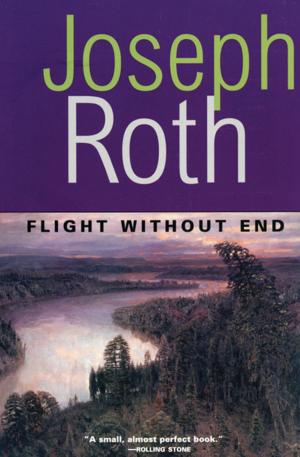 Cover of the book Flight Without End by P.F. Kluge