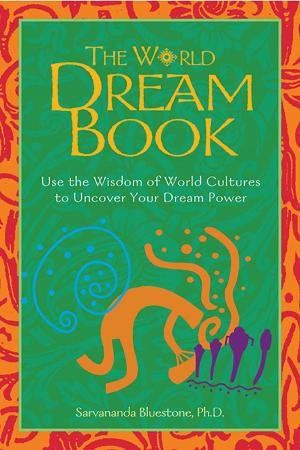 Book cover of The World Dream Book