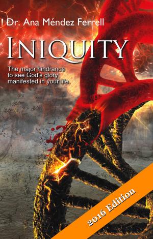 bigCover of the book Iniquity 2016 by 