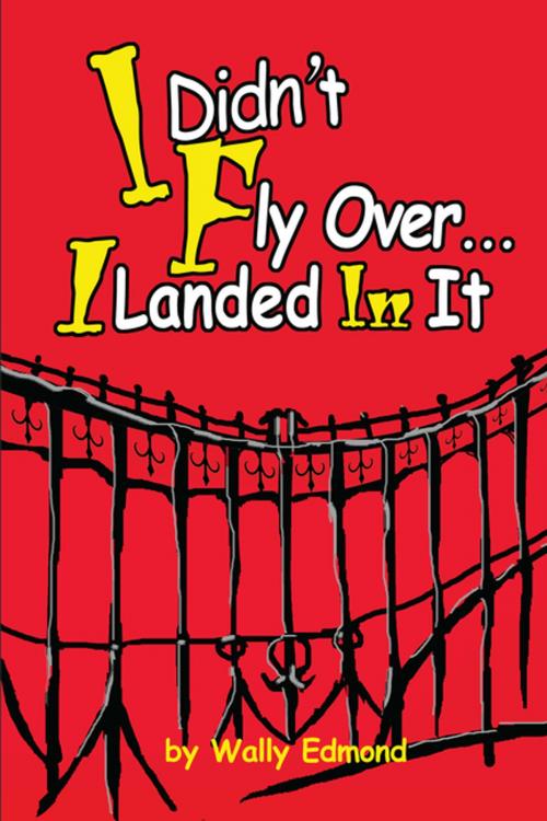 Cover of the book I Didn't Fly Over... I Landed in It by Wally Edmond, iUniverse