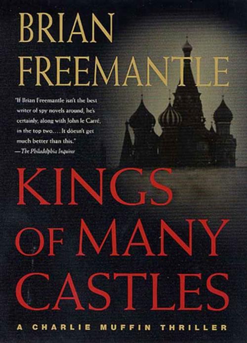 Cover of the book Kings of Many Castles by Brian Freemantle, St. Martin's Press