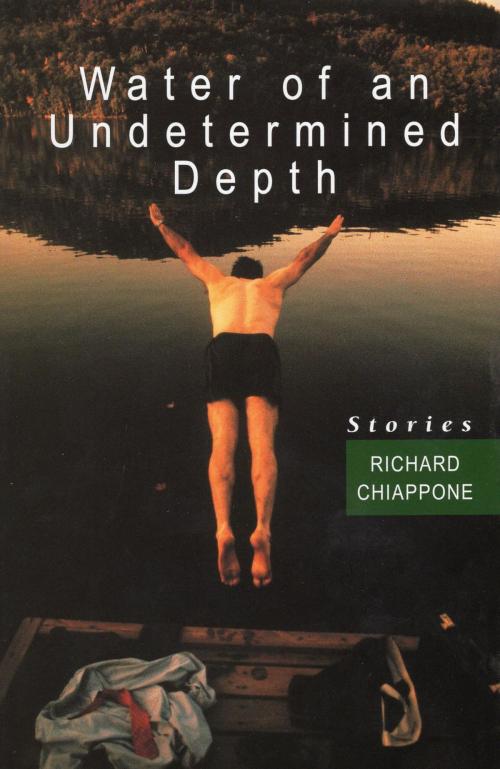 Cover of the book Water of an Undetermined Depth by Richard Chiappone, Stackpole Books