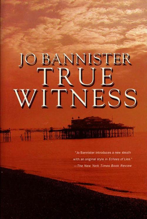 Cover of the book True Witness by Jo Bannister, St. Martin's Press