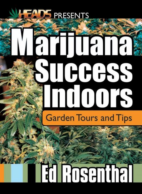 Cover of the book Marijuana Success Indoors by Ed Rosenthal, Quick Trading Company