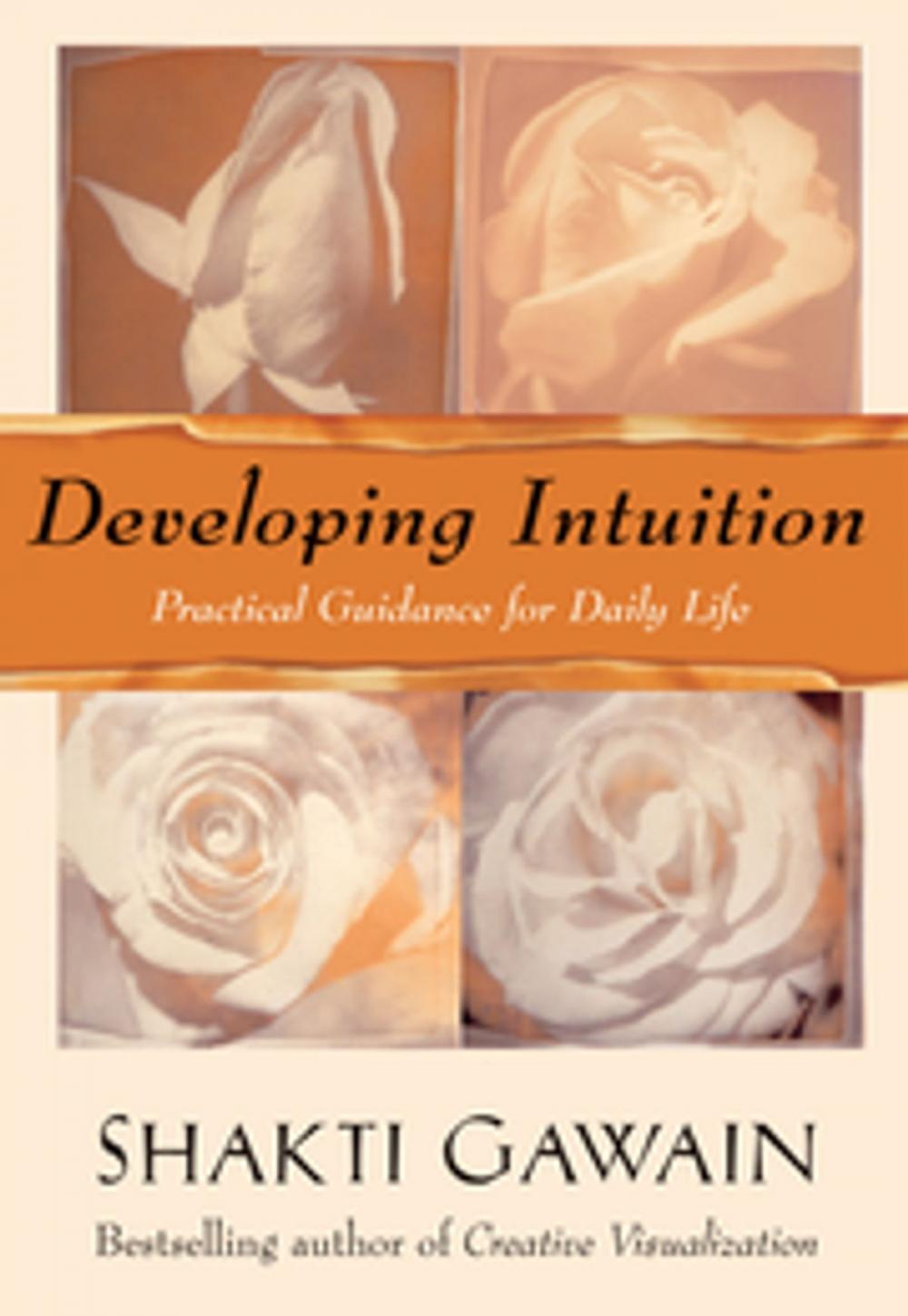 Big bigCover of Developing Intuition