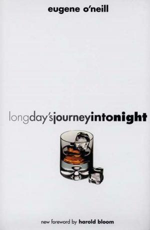 Cover of the book Long Day's Journey into Night: Second Edition by John M. Efron