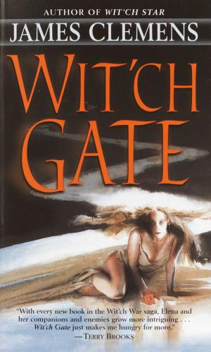 Cover of the book Wit'ch Gate by Paul Lytle