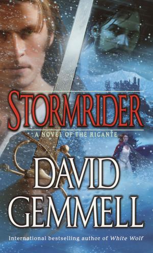 bigCover of the book Stormrider by 