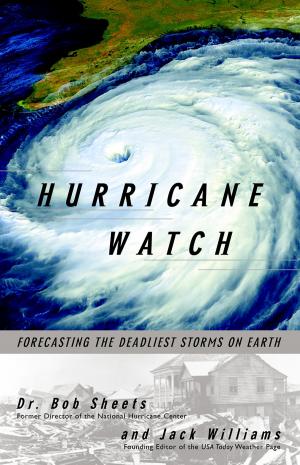 Cover of the book Hurricane Watch by Sandra Cisneros