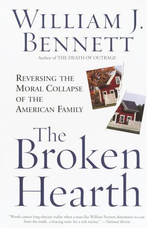 Book cover of The Broken Hearth