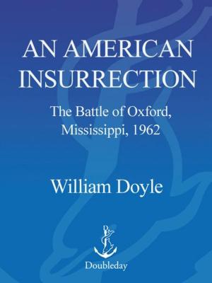 Book cover of An American Insurrection