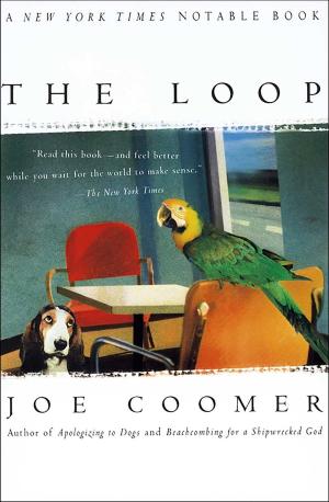 Cover of the book The Loop by Chuck Klosterman