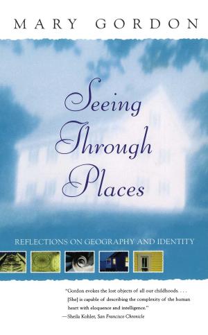 Book cover of Seeing Through Places