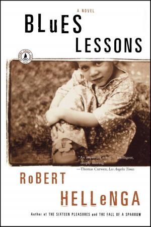 Cover of the book Blues Lessons by Duane R. Clarridge