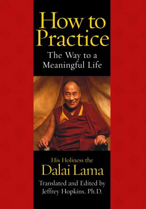 Cover of the book How To Practice by Lisa Jewell