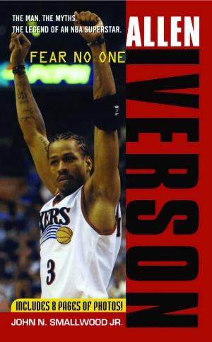 Cover of the book Allen Iverson by Judith Michael