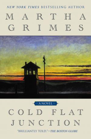 Cover of the book Cold Flat Junction by Elaine Rose Glickman
