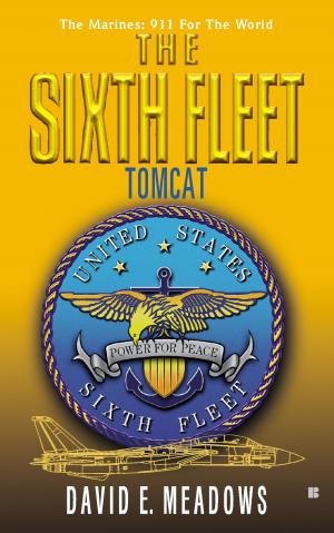 Book cover of The Sixth Fleet: Tomcat