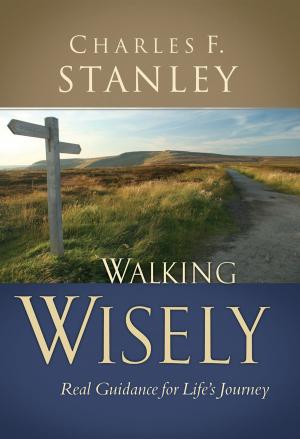 Book cover of Walking Wisely