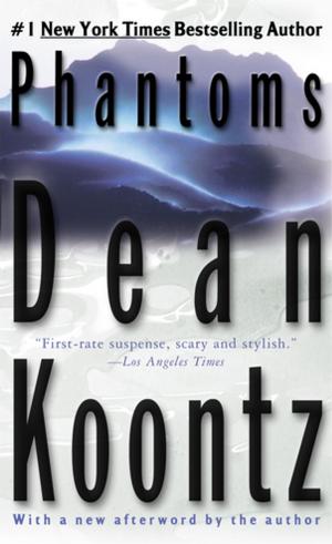 Cover of the book Phantoms by Jake Logan
