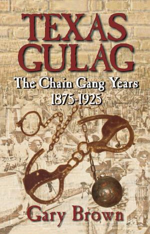 Cover of the book Texas Gulag by Todd Tucker