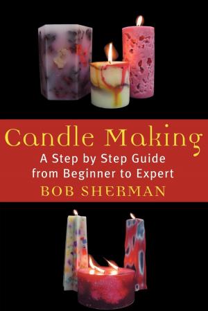 Cover of the book Candlemaking by G. Harry Stine