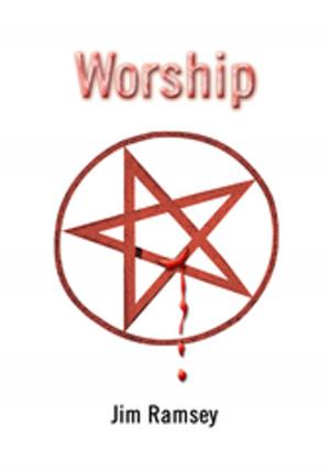 Cover of the book Worship by Steven WinterHawk
