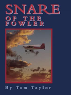 Cover of the book Snare of the Fowler by Stacey Levitt