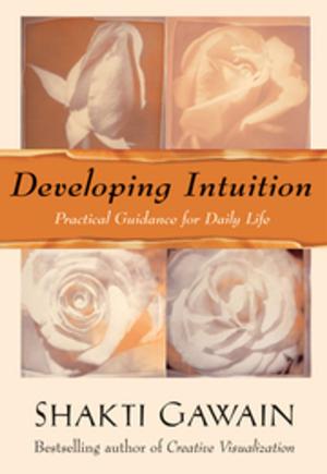 Book cover of Developing Intuition