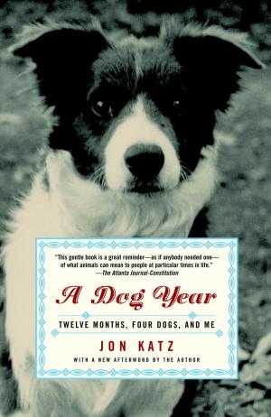 Cover of the book A Dog Year by Peter Abrahams