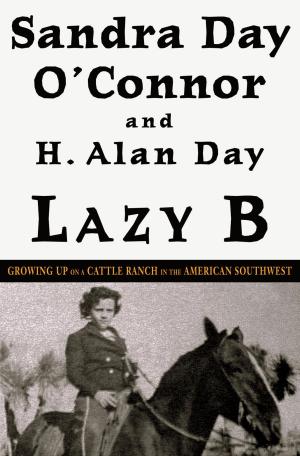 Book cover of Lazy B