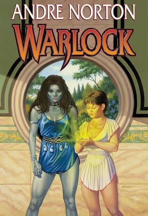 Cover of the book Warlock by Elizabeth St.John