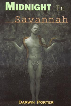 Book cover of Midnight in Savannah