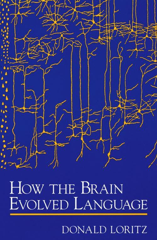 Cover of the book How the Brain Evolved Language by Donald Loritz, Oxford University Press