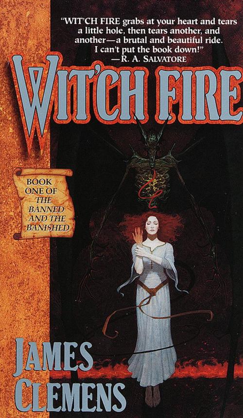 Cover of the book Wit'ch Fire by James Clemens, Random House Publishing Group