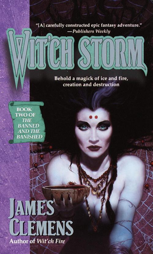 Cover of the book Wit'ch Storm by James Clemens, Random House Publishing Group