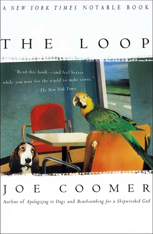 Cover of the book The Loop by Joe Coomer, Scribner