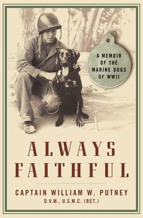 Cover of the book Always Faithful by William W. Putney, Free Press