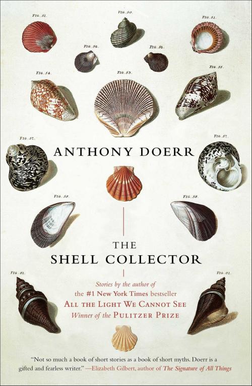 Cover of the book The Shell Collector by Anthony Doerr, Scribner